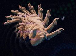 Spektakuler! Foto Juara World Sports Photography Awards 2026