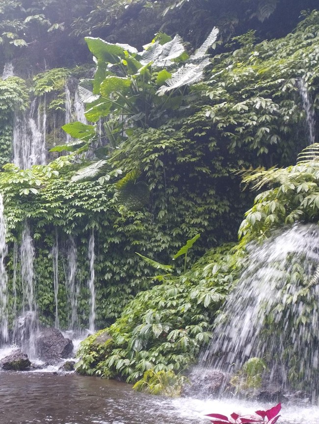 Banyu Wana Amertha: Air Terjun Eksotis di Hutan Wanagiri