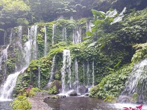 Banyu Wana Amertha: Air Terjun Eksotis di Hutan Wanagiri