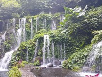 Banyu Wana Amertha: Air Terjun Eksotis di Hutan Wanagiri