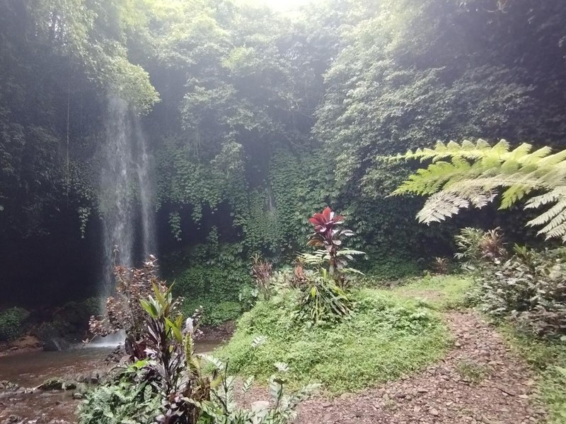 Air Terjun One di Hutan Wanagiri, Buleleng, Bali, Senin (16/2/2026). Air terjun ini letaknya bersebelahan dengan Air Terjun Banyu Wana Amertha.