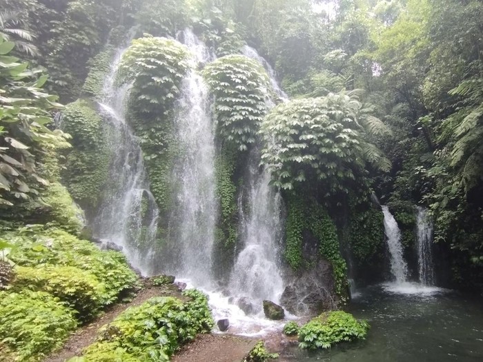 Air Terjun Spray, Buleleng, Bali, Senin (16/2/2026). Air terjun ini salah satu dari empat air terjun di Hutan Wanagiri.