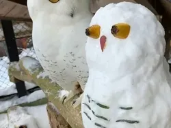 Begini Jadinya Kalau Main Salju Kelewat Kreatif