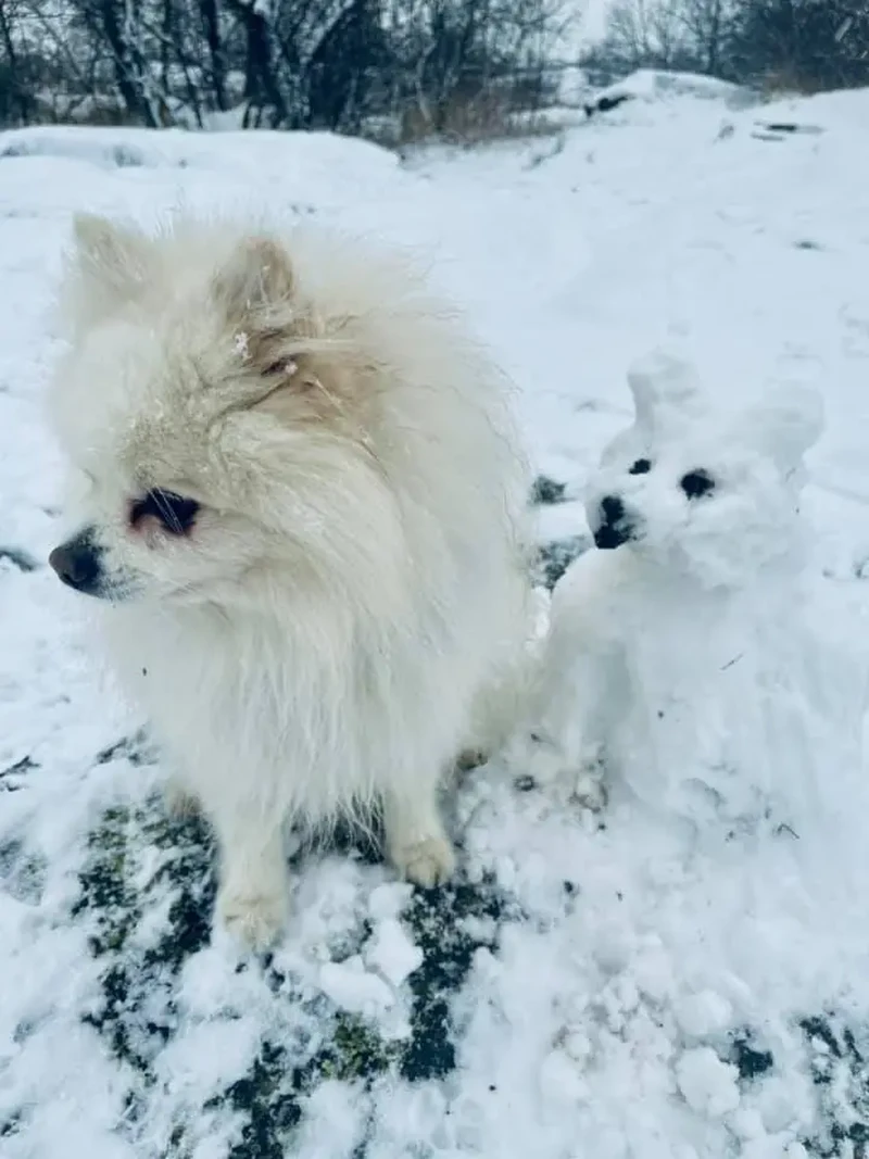 Saat salju turun, jalanan berubah menjadi pameran seni.