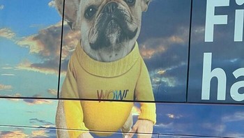 Iklan anjing lucu ini gagal karena bagian tubuh tak selaras. Hasil editnya justru bikin netizen ngakak. Foto: Demilked