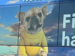 Editannya Keterlaluan! Foto Ini Bikin Netizen Syok & Ngakak