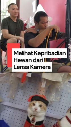  Video: Memahami Kepribadian Hewan Lewat Lensa Kamera