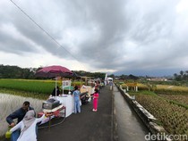 Syahdunya Sawah Lope Desa Cikaso, Spot Terbaik Buat Botram Bareng Keluarga