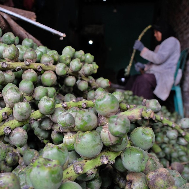 Bulan Ramadan, Permintaan Kolang Kaling Naik hingga Empat Kali Lipat