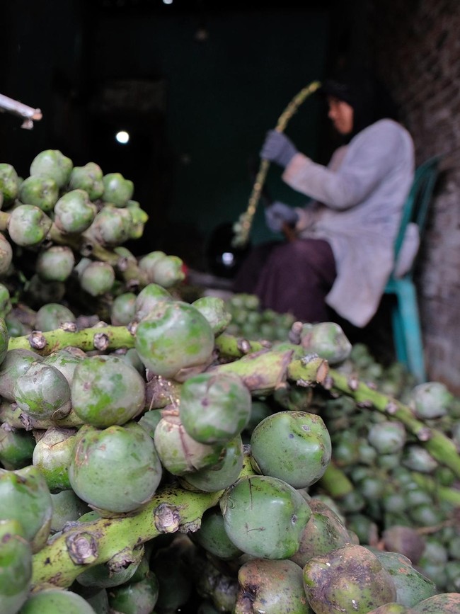 Bulan Ramadan, Permintaan Kolang Kaling Naik hingga Empat Kali Lipat
