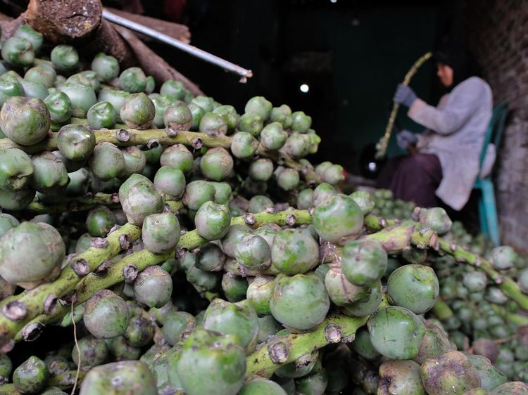 Bulan Ramadan, Permintaan Kolang Kaling Naik hingga Empat Kali Lipat