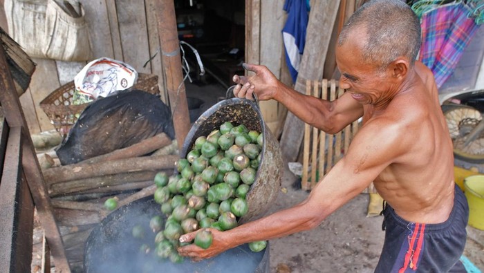 Pekerja merebus buah kolang kaling (Arenga pinnata) di Desa Lowungu, Bejen, Temanggung, Jawa Tengah, Sabtu (21/2/2026). Pengolah kolang kaling menuturkan saat bulan Ramadhan permintaan meningkat hingga empat kali lipat dibanding bulan lain, yaitu dari tujuh kuintal per bulan menjadi sekitar tiga ton per bulan, dengan harga Rp12.000 per kilogram. ANTARA FOTO/Anis Efizudin/rwa.