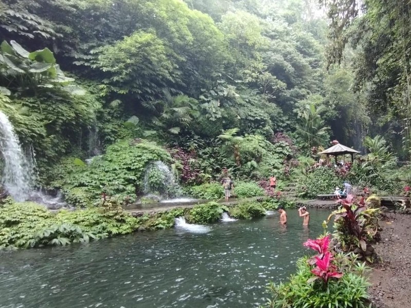 Wisatawan berenang di kolam Air Terjun Banyu Wana Amertha. Air kolam tersebut bening kehijauan dan segar.