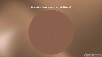 Sekilas Samar, Bisa Temukan Hewan Tersembunyi di Gambar Ini?