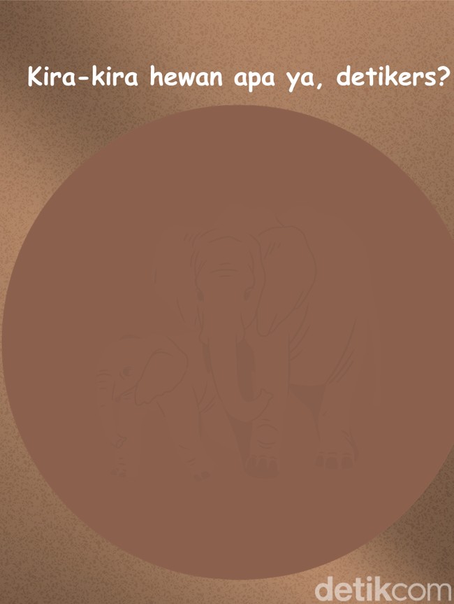 Sekilas Samar, Bisa Temukan Hewan Tersembunyi di Gambar Ini?