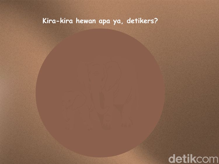 Sekilas Samar, Bisa Temukan Hewan Tersembunyi di Gambar Ini?