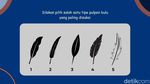 Tes Seru! Pilihan Pena Bulu Ini Bisa Ungkap Kepribadian Diri