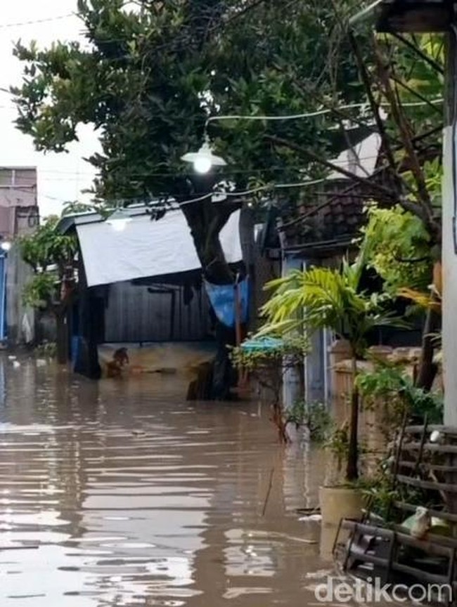 Banjir Masih Merendam Pemukiman di Probolinggo