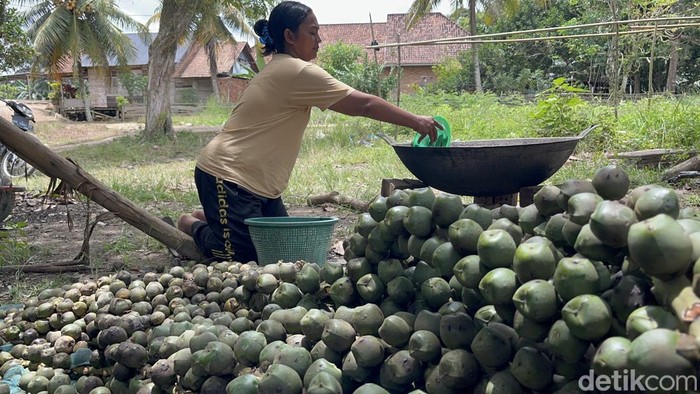 Beluluk yang dipanen akan dibawa ke rumah untuk direbus dan diambil bagian dalamnya.  Sebelum masuk panci rebusan, beluluk yang masih menempel di tangkai akan dipereteli satu per satu. Selanjutnya, beluluk akan dimasukkan ke dalam panci berisi air dan akan direbus selama satu jam.