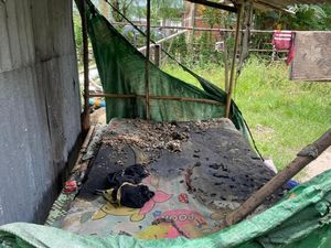 Lagi Tidur Nyenyak, Pria di NTB Dibakar Ibu Kandung