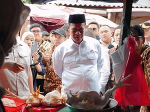 Mentan Sebut Indonesia Sudah Swasembada Beras, Telur, Ayam