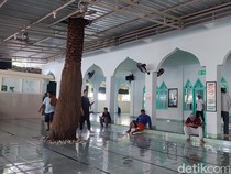 Unik, Pohon Kurma Tumbuh di Dalam Masjid Bahari Benoa