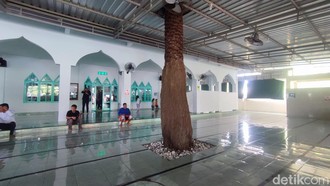 Kisah Pohon Kurma Setinggi 7 Meter yang Tumbuh di Dalam Masjid Bali