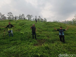 Ngabuburit Sambil Tanam 1.447 Pohon di Lereng Gunung Raung
