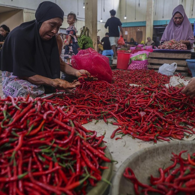 Stok Cabai Nasional Melimpah, Kebutuhan Ramadan-Lebaran Aman
