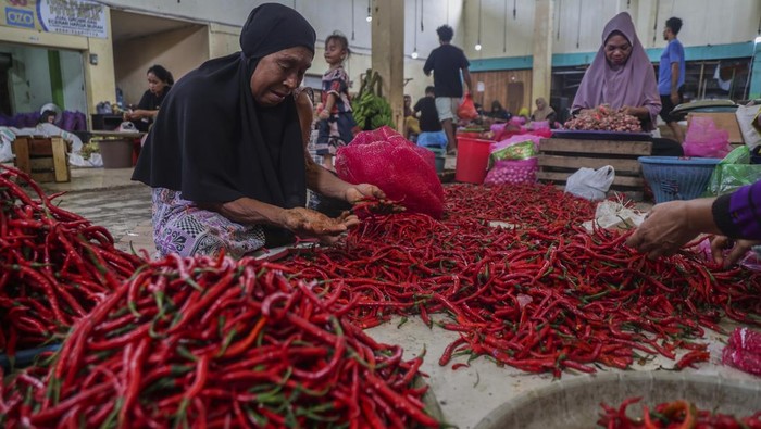 Pedagang menyortir cabai rawit merah yang dijual di Pasar Barito, Ternate, Maluku Utara, Minggu (22/2/2026). Berdasarkan data proyeksi neraca pangan nasional komoditas cabai rawit mengalami surplus sebesar 54 ribu ton pada Februari 2026 dan melonjak hingga 99 ribu ton pada Maret 2026, sementara cabai besar mencatatkan surplus sebesar 14 ribu ton pada Februari dan 11 ribu ton pada Maret 2026 sehingga pemerintah memastikan pasokan cabai nasional berada dalam kondisi aman dan terkendali selama bulan suci Ramadhan dan Idul Fitri 1447 Hijriah. ANTARA FOTO/Andri Saputra
