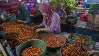 Aktivitas perdagangan cabai di pasar tradisional pun tetap berjalan normal. Di Pasar Barito, pedagang terlihat menyortir dan menjual cabai rawit merah untuk memenuhi kebutuhan konsumen. Pasokan yang cukup membantu pedagang menjaga stabilitas harga di tingkat pasar. Antara Foto/Andri Saputra