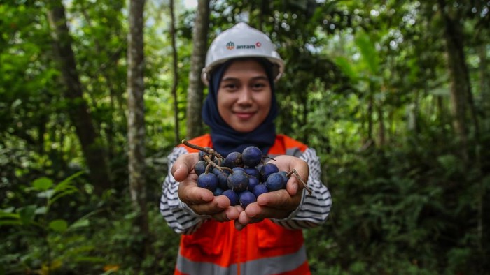Antam Kembangkan Narseri-Taman Kehati