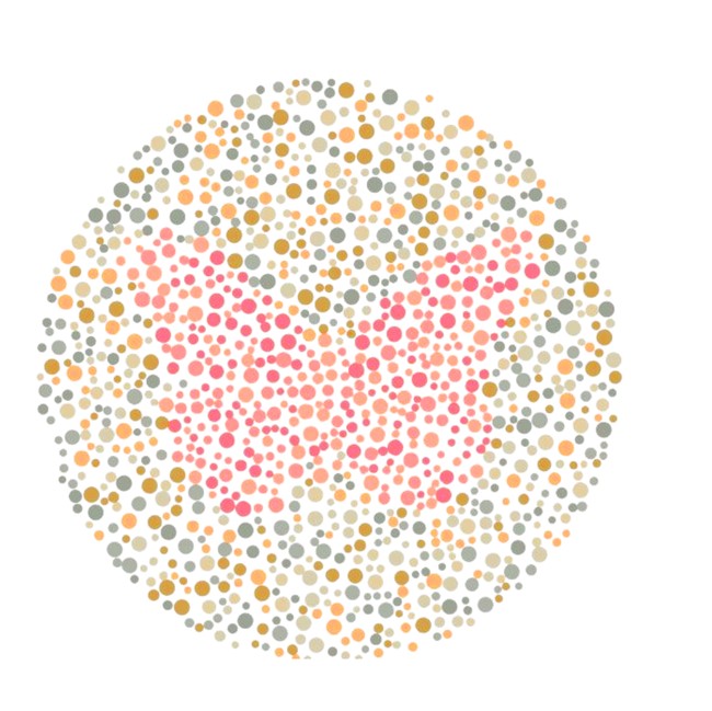 Nggak Perlu Bingung, Coba Temukan Gambar Hewan yang Tersembunyi di Pola Ini