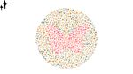 Nggak Perlu Bingung, Coba Temukan Gambar Hewan yang Tersembunyi di Pola Ini