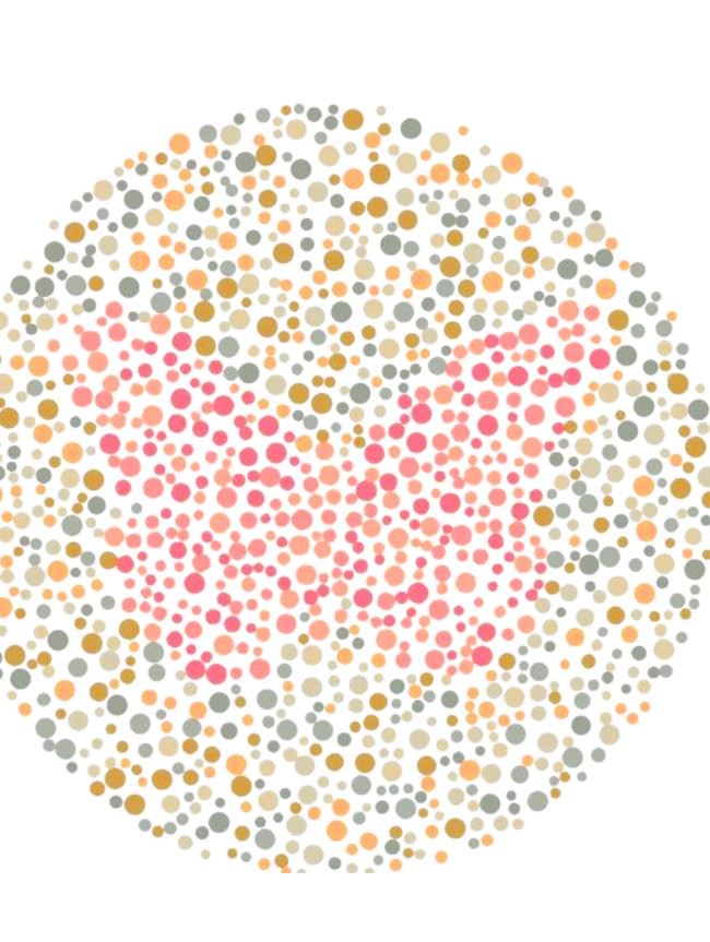 Nggak Perlu Bingung, Coba Temukan Gambar Hewan yang Tersembunyi di Pola Ini