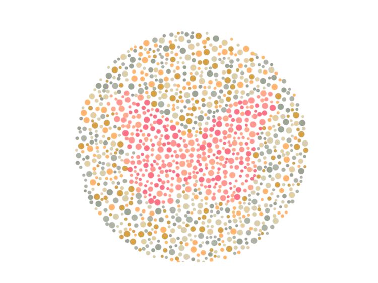 Nggak Perlu Bingung, Coba Temukan Gambar Hewan yang Tersembunyi di Pola Ini