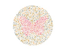 Nggak Perlu Bingung, Coba Temukan Gambar Hewan yang Tersembunyi di Pola Ini