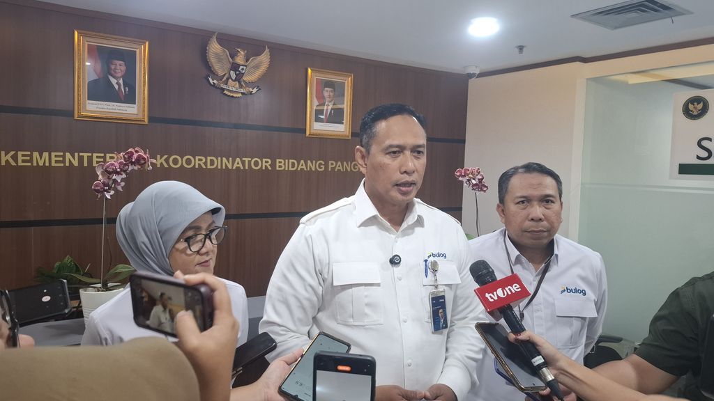 Direktur Utama Perum Bulog, Ahmad Rizal Ramdhani. (CNBC Indonesia/Chandra Dwi)