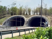 Jalan Raya Ini Punya Terowongan Khusus Satwa, Hasilnya Positif