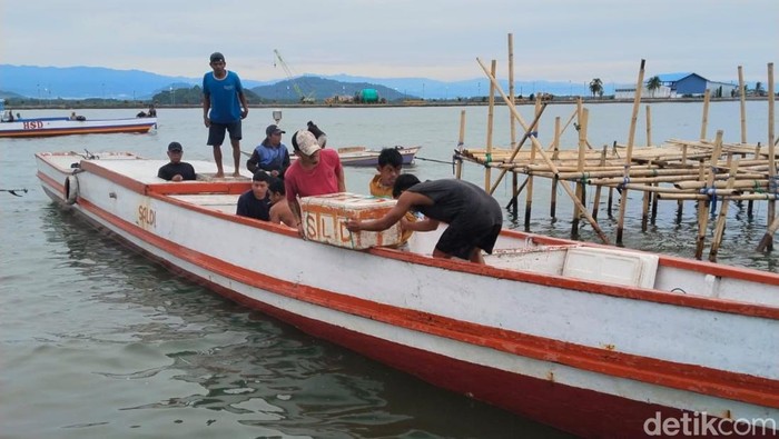 Nelayan di TPI Palopo keluhkan kelangkaan solar subsidi. Ahmad Al Qadri/detiksulsel
