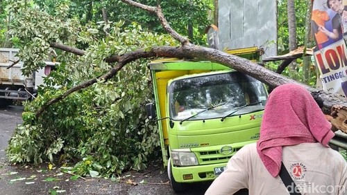 Pohon tumbang timpa truk di Jalur Amlapura-Denpasar tepatnya di Desa Bugbug, Karangasem, Senin (23/2/2026).