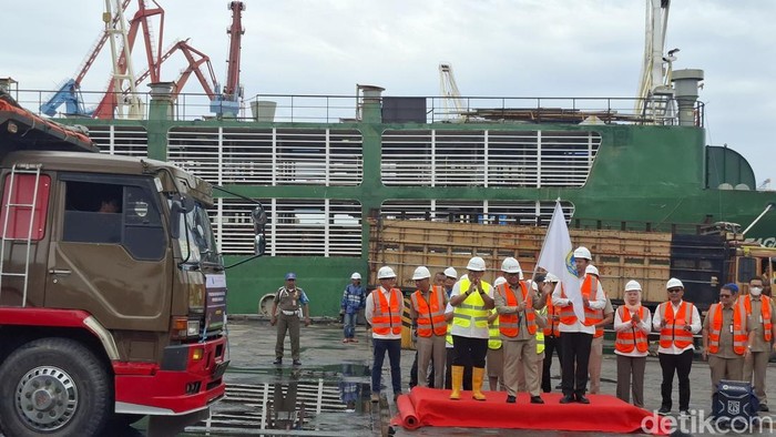 Pemprov Jakarta Impor Sapi dari Australia, Tahap Awal 3.100 Ekor, Bantu Stok Daging?