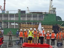 Pemprov Jakarta Impor Sapi dari Australia, Tahap Awal 3.100 Ekor