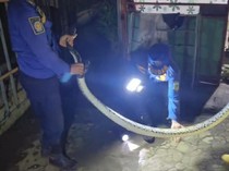 Teror Piton 4 Meter yang Gemparkan Warga Kuningan Saat Sahur