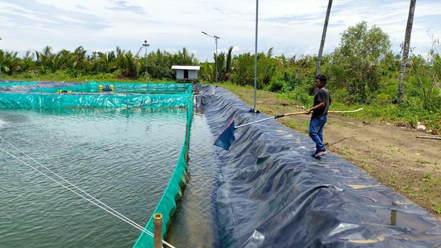 Sairan, eks narapidana yang memilih bekerja di kolam Sidat Nusakambangan, usai bebas dari masa pidana.