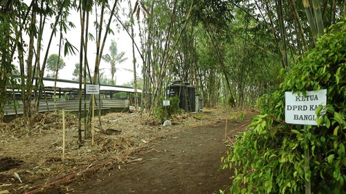 Suasana Hutan Adat Giri Upawana, Banjar Linjong, Desa Tiga, Kecamatan Susut, Bangli, Sabtu (21/2/2026). (Aryo Mahendro(detikBali)