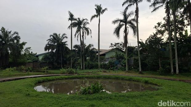 Taman Salak Kuning atau Bukit Teletubbis di Munuul, Cipayung, Jakarta Timur
