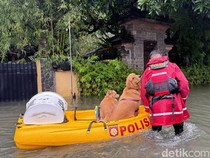 Update BPBD: 126 Titik Bencana di Bali Usai Hujan 4 Hari