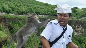 Seekor monyet melompat dan menarik kacamata seorang pria tepat di detik yang tak terduga. Ekspresinya benar-benar priceless! Foto: Boredpanda