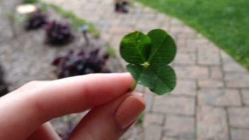 Daun semanggi empat yang langka jadi fokus kamera, sementara di belakangnya frisbee melayang tepat ke arah kepala seseorang. Timing yang nyaris bikin “benjol”. Foto: Borepnada
